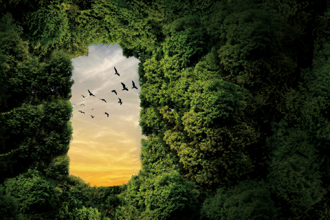 Sustainability at Durak